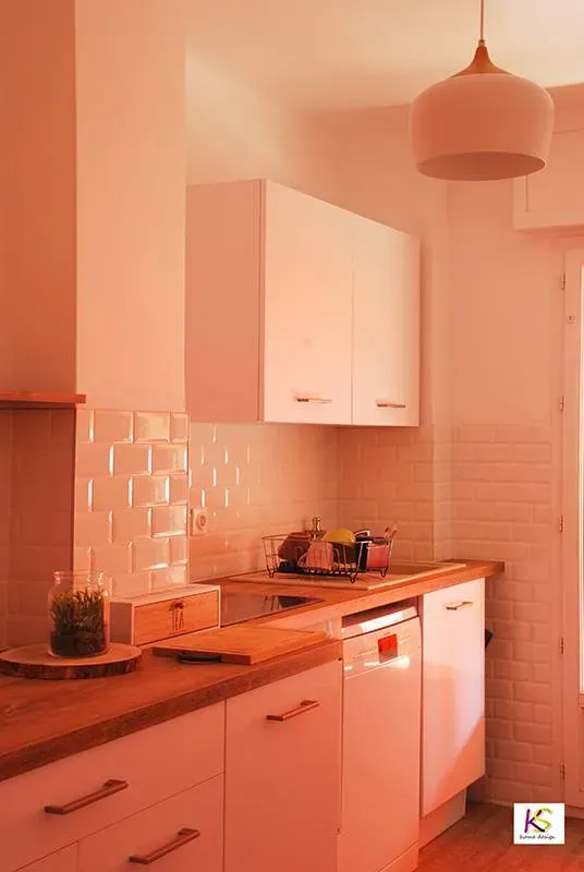 Rénovation 2 pièces AIR BNB 52 m2 Cannes (3webp